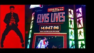 ★ELVIS LIVES★SLOT MACHINE BONUS★WILD STALLION BIG LINE HIT★LIVE PLAY, CASINO GAMBLING!!
