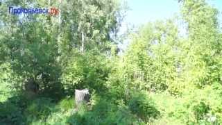 Какое будущее у Тырганского парка