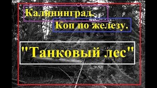Коп по войне.КАЛИНИНГРАД.Танковый лес.