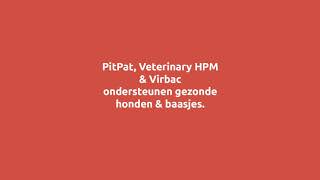PitPat - Gezond en fit blijven