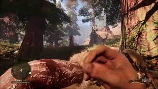 Far Cry Primal - Healing Animation | Free Roam Gameplay (PC HD) [1080p60FPS]