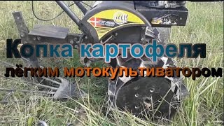 Копка картофеля лёгким мотокультиватором