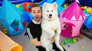 DROOMHUIS BOUWEN VOOR PACO DE HOND! *Verrassing*