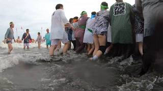 令和元年  　平塚市  三嶋神社　例大祭　本社神輿「浜降り」神輿海中です　（生）。