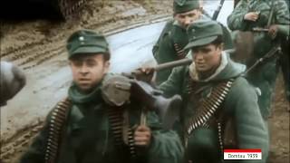 Хроника тяжелых боев апрель май 1945