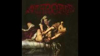 Anthrofuge - Geisselung