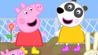 Peppa Pig Français LIVE 2020 ? Épisodes Complets - Dessin Animé