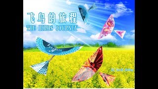 СУПЕР ЛЕТАЮЩАЯ ПТИЧКА С АЛИЭКСПРЕСС ИЗ КИТАЯ.