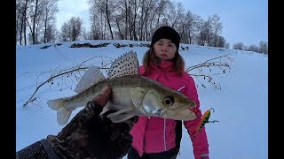 МАША ОПЯТЬ ПОПАЛА В КОРЯГАХ НА РЫБУ!!Рыбалка 2020,окунь,судак на балансир.Безмотылка,Fishing