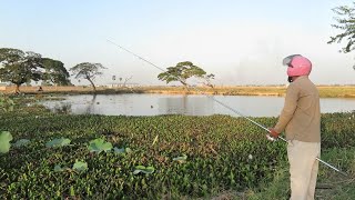 Fishing Snake head fish at Krang Tnong , Cambodia || បបក់ត្រីនៅក្រាំងធ្នង់