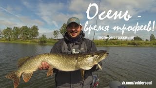 Ловля крупной щуки осенью. Джиг - спиннинг в сентябре. Видео отчет от 1 сентября 2016.