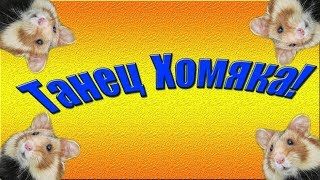 Хомяк танцует с яблоком! // Хома Кокос//hamster dance