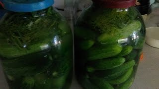 Необычный способ засолки хрустящих огурцов. Рецепт квашенных огурчиков.