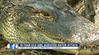 10-year-old Florida girl pries open gator's mouth to free her leg