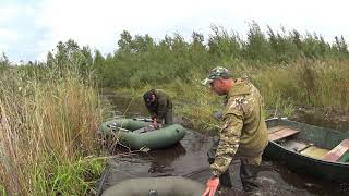 Охота на утку.Налеты лысухи.Hunting for a duck