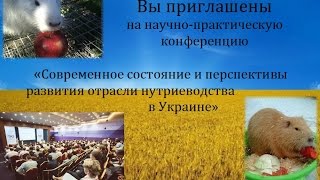 Нутрии.Украина.Конференция нутриеводов.Актуальные вопросы и обмен опытом.