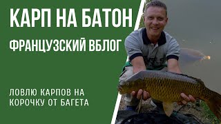Ловля карпа на корочку батона. Поклевки на камеру! Французский вБлог #8