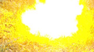 Взрыв водорода. (Hydrogen Explosion)