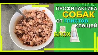Глисты у собаки: ?лечение, ✅профилактика дома