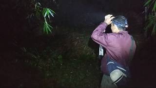 Ljt Lokasi Ki Blangkon Dan Mister Komeng