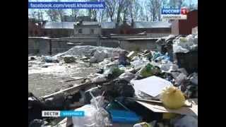 Вести-Хабаровск. Горы мусора в Волочаевском городке