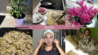 СПАГЕТТИ С ИНДЕЙКОЙ И ГРИБАМИ/НОВЫЕ ЦВЕТЫ/ПОКУПКИ ПРОДУКТОВ/