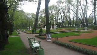 Решётка Летнего Сада, Фонтанка, лебеди Летнего Сада Summer Garden