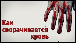 Сворачивание крови Time Lapse