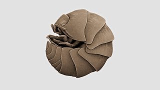 Создаем архивы с парольной защитой при помощи Keka(Mac OS X) + Альтернатива для Windows