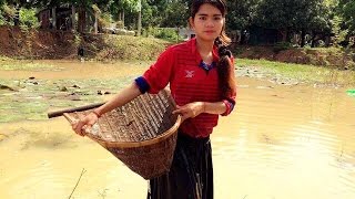Beautiful Girl Fishing -Cambodia Traditional Fishing-How to Catch Fish