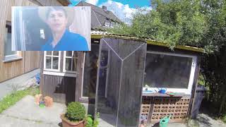 31. Haus-Check - Das Haus