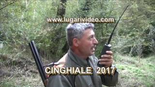 Lugari video: caccia al cinghiale 2017