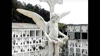 BellWald / La Marée (1996)