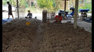 เชื้อเห็ดฟาง?ทำแบบนี้ รู้ไว้กำไรชีวิต
