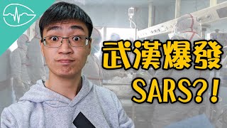 武漢「不明原因肺炎」是2003年SARS重演?!! | 醫療時事解析 | 一葉草的白袍手札