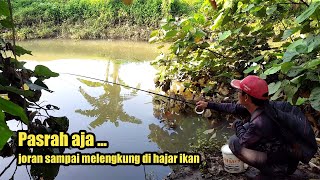 Senar sampai putus saat mancing pakai umpan ini