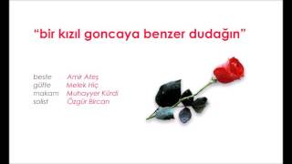 Bir Kızıl Goncaya Benzer Dudağın