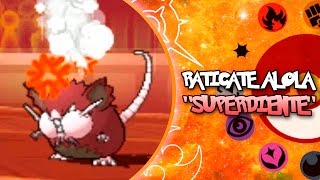 POKÉMON SOL & LUNA BATTLES MONOTYPES: RATICATE ALOLA, "SUPERDIENTE"!