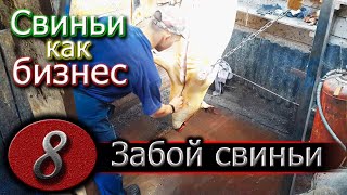 ЗАБОЙ СВИНЬИ