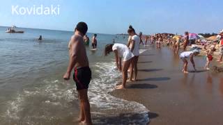 Холодное море Затока 2015 в Лиманском районе