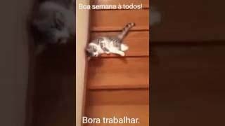 Trabalhar no FDS???, Bora, igual ao vídeo. #Bom_fim_de_semana #zanel #pode_confiar