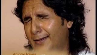 ANTONIO REYES-ANTONIO HIGUERO-FANDANGOS