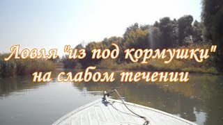 Ловля "из под кормушки" на слабом течении