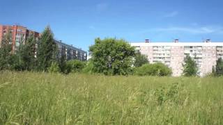 Футаж   Footage free   Зеленая поляна   000256