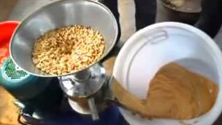 máy xay đậu phộng làm bơ, máy xay ớt tươi làm tương ớt, máy xay ớt tỏi làm tương