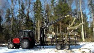 Palms 680: Żuraw leśny w akcji