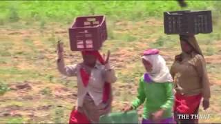 Bhopal Berasia Tehsil Report| बैरसिया भोपाल की ग्राउंड रिपोर्ट| report by the thaat