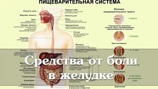 Средства от боли в желудке