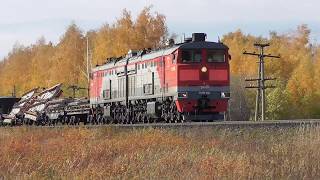 Магистральный тепловоз 2ТЭ10М-0901 с рабочим поездом 13.10.17.