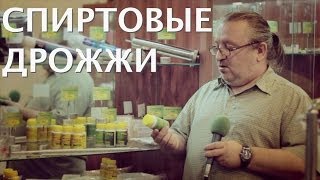 Про спиртовые дрожжи